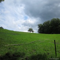 waldfee_grab_02