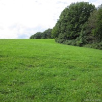 waldfee_grab_06
